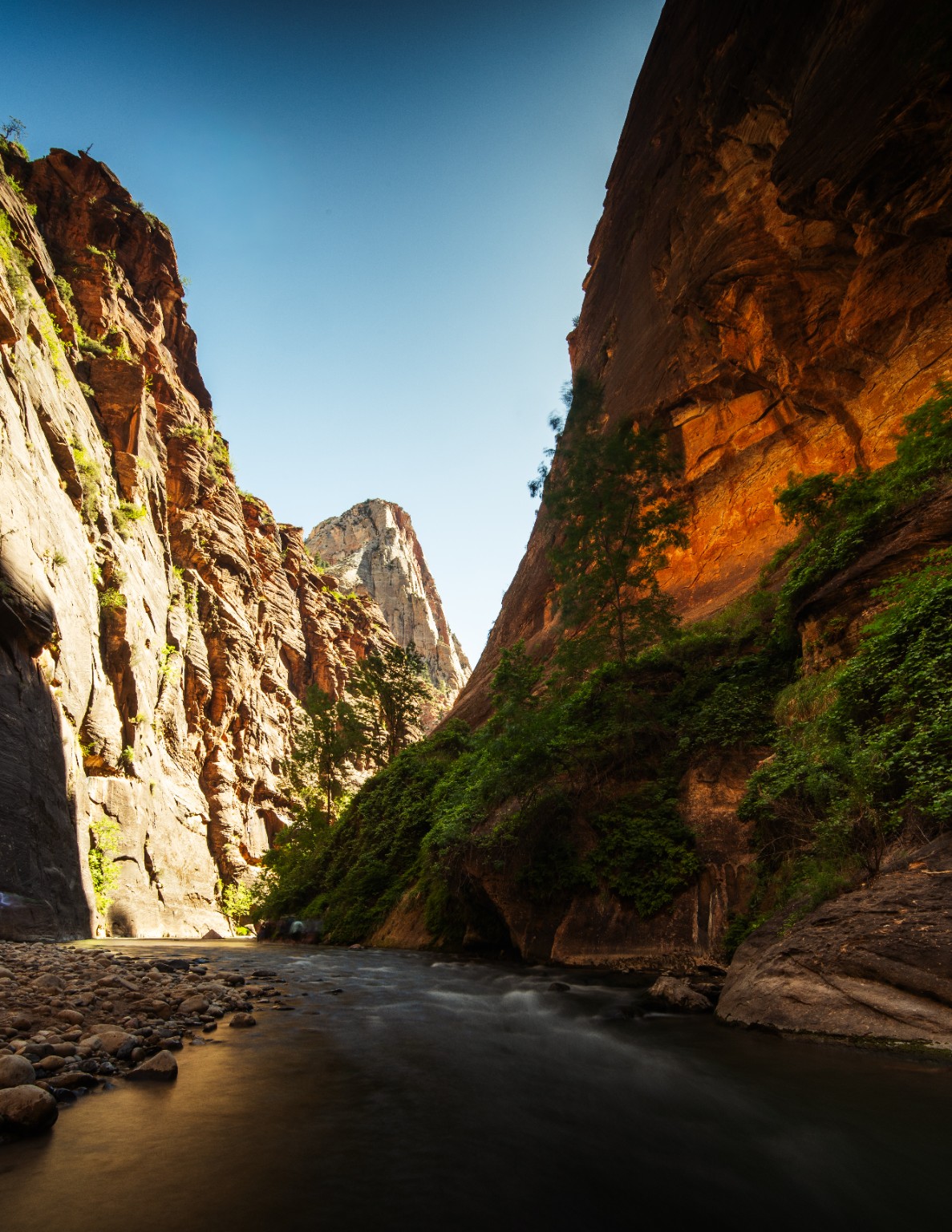 A river leads between towering canyon walls, where warm reflected light meets the shadowed water. Zion National Park, Utah.