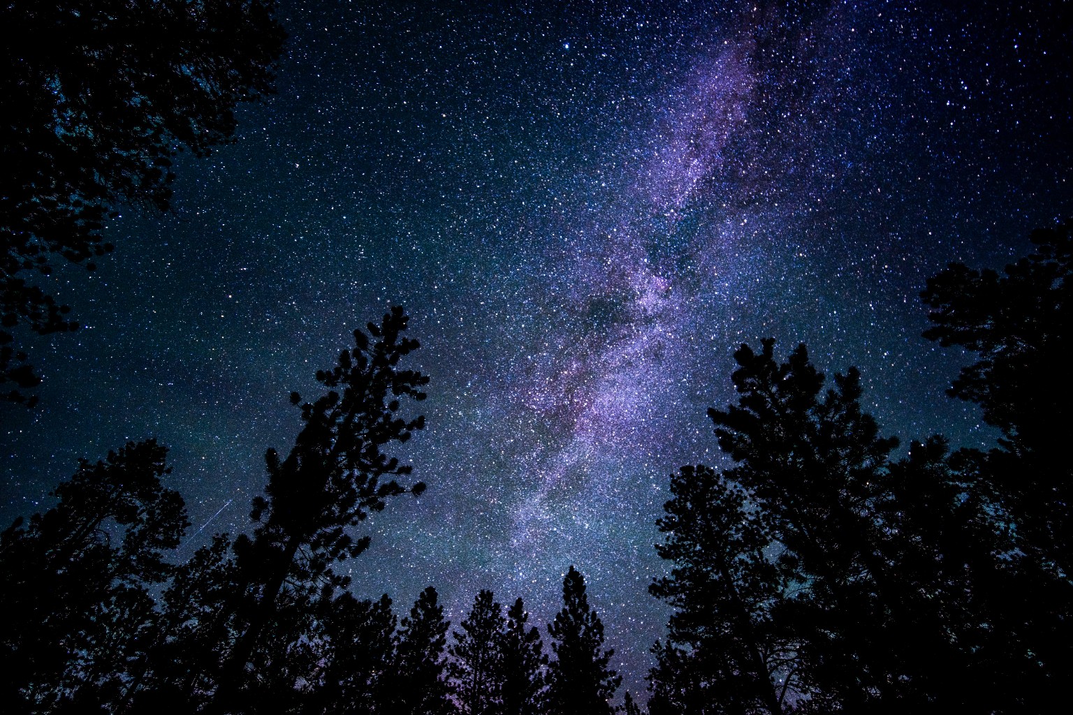 The Milky Way rises between silhouetted conifers, filling the opening in the canopy with stars. Yosemite National Park, California.