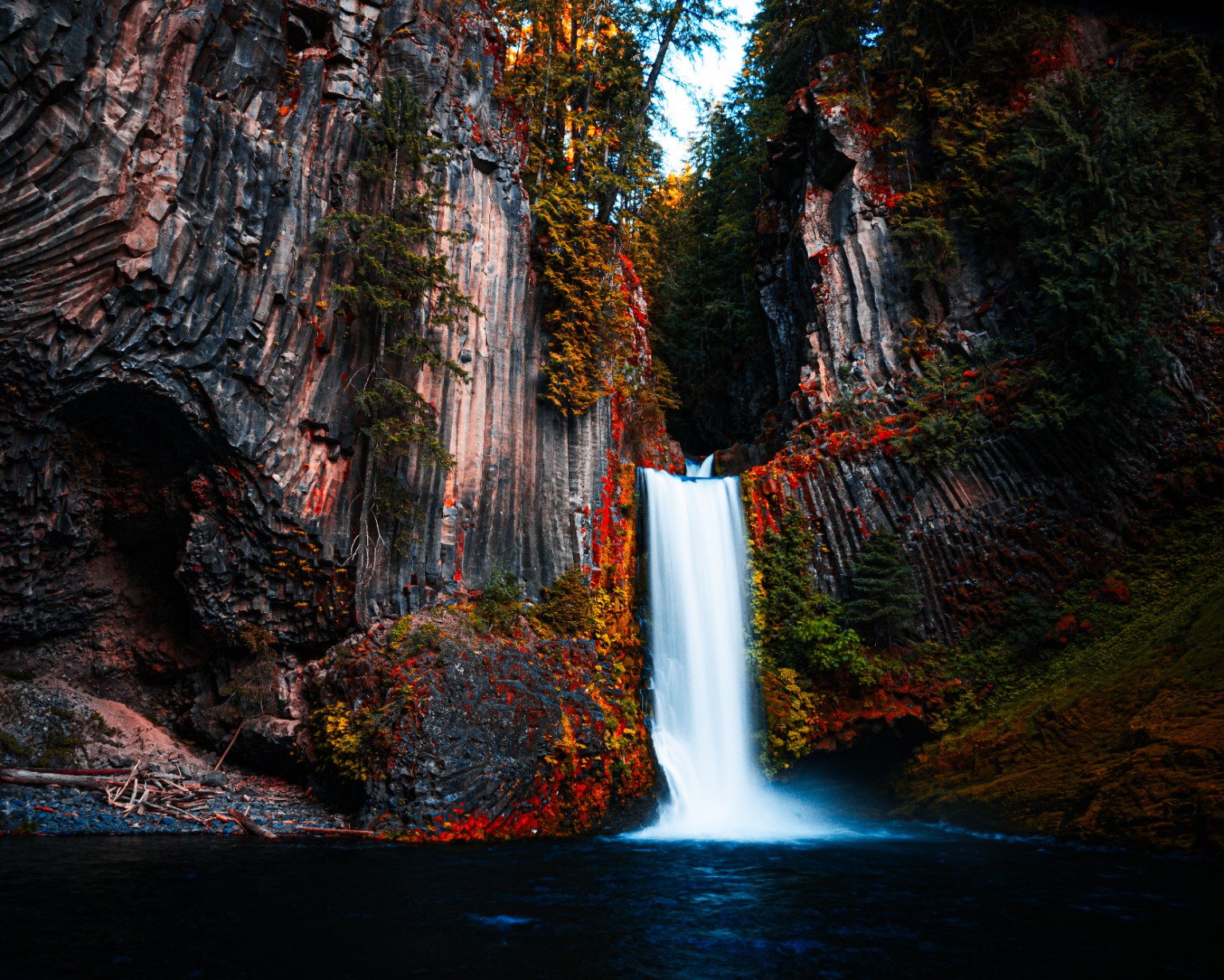 A white cascade drops into a shaded pool beneath columnar basalt, framed by autumn foliage. Oregon, USA.